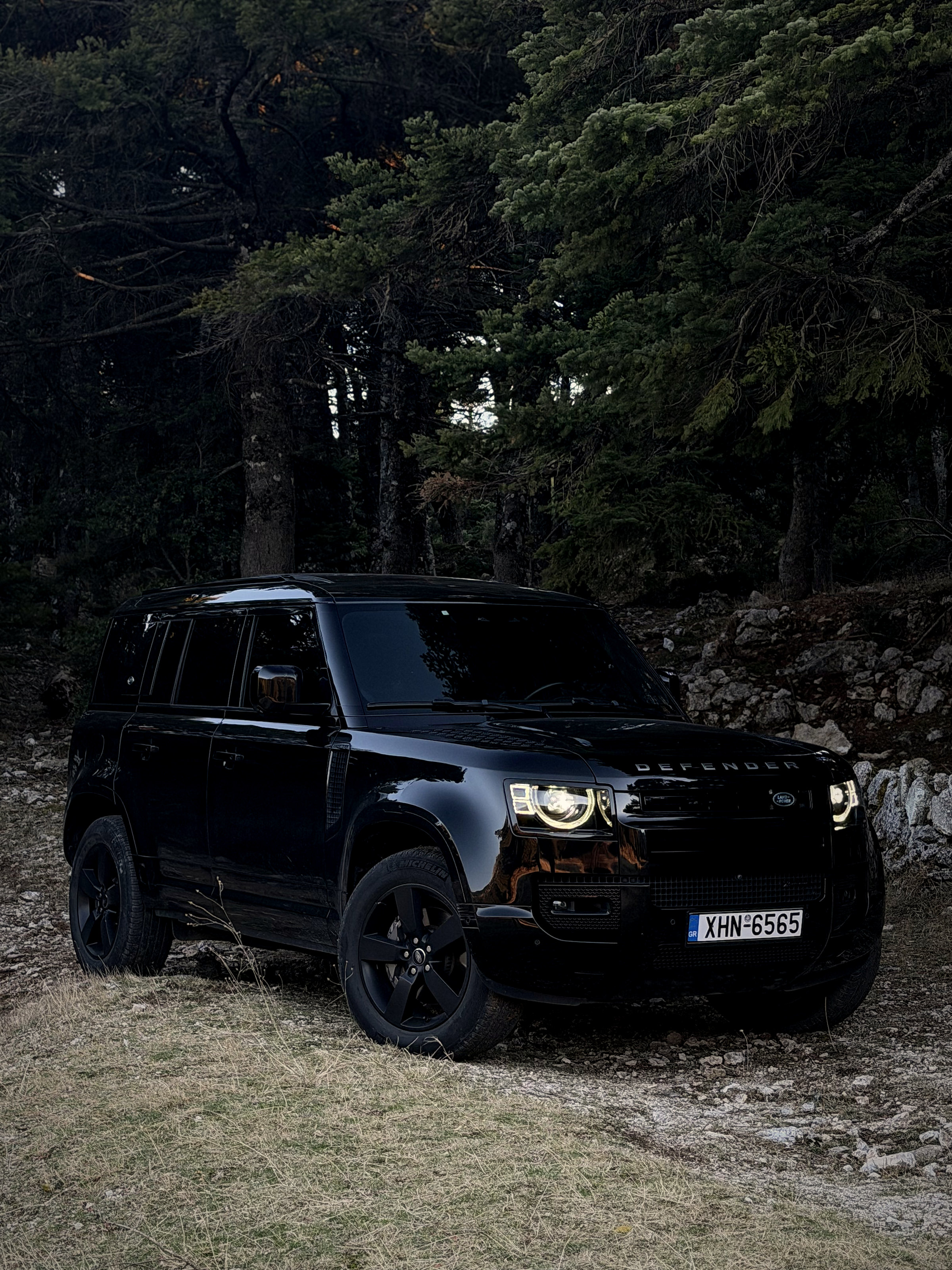 Defender στο δάσος